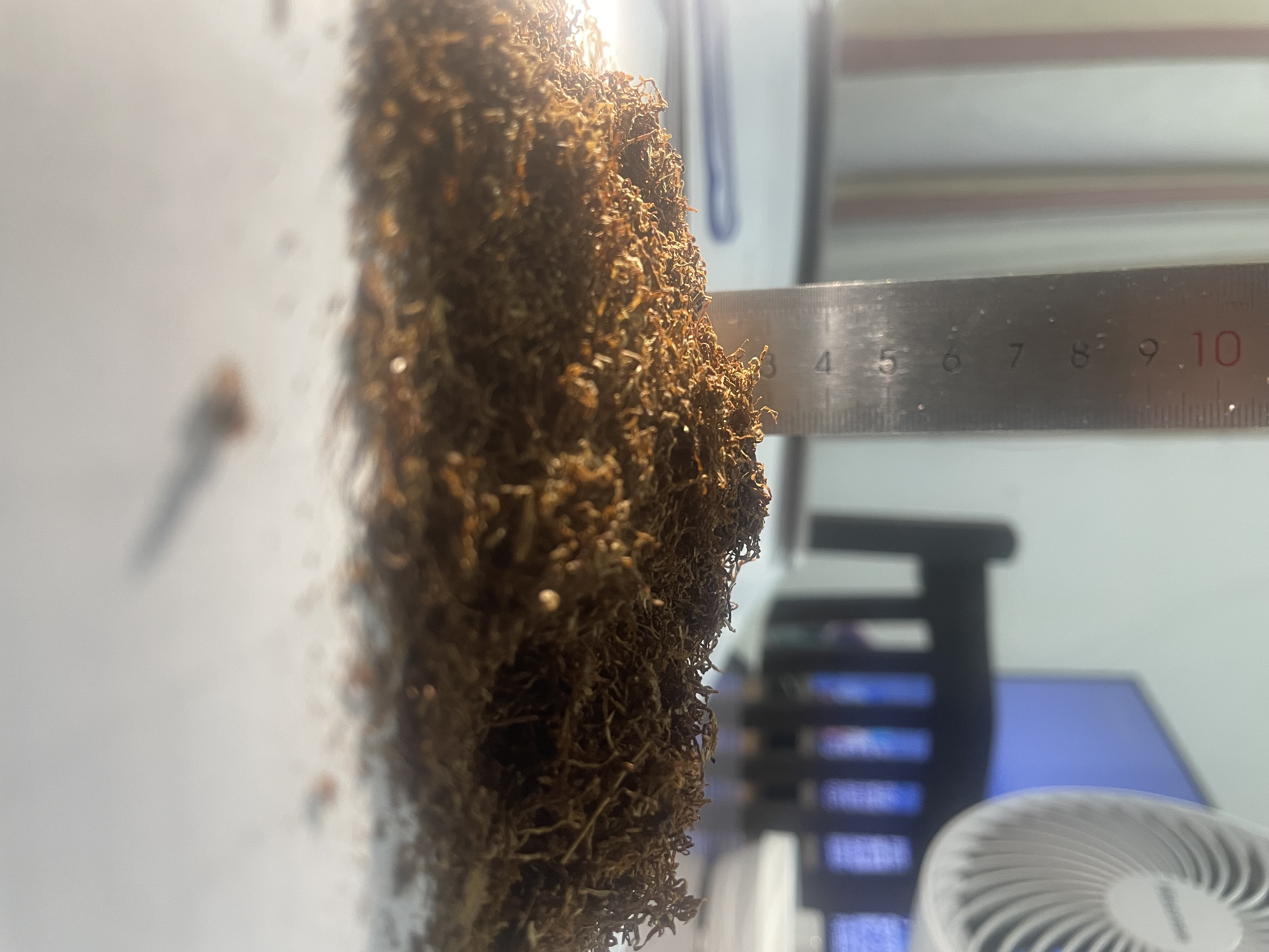 Side view of the first tobacco sample with a ruler