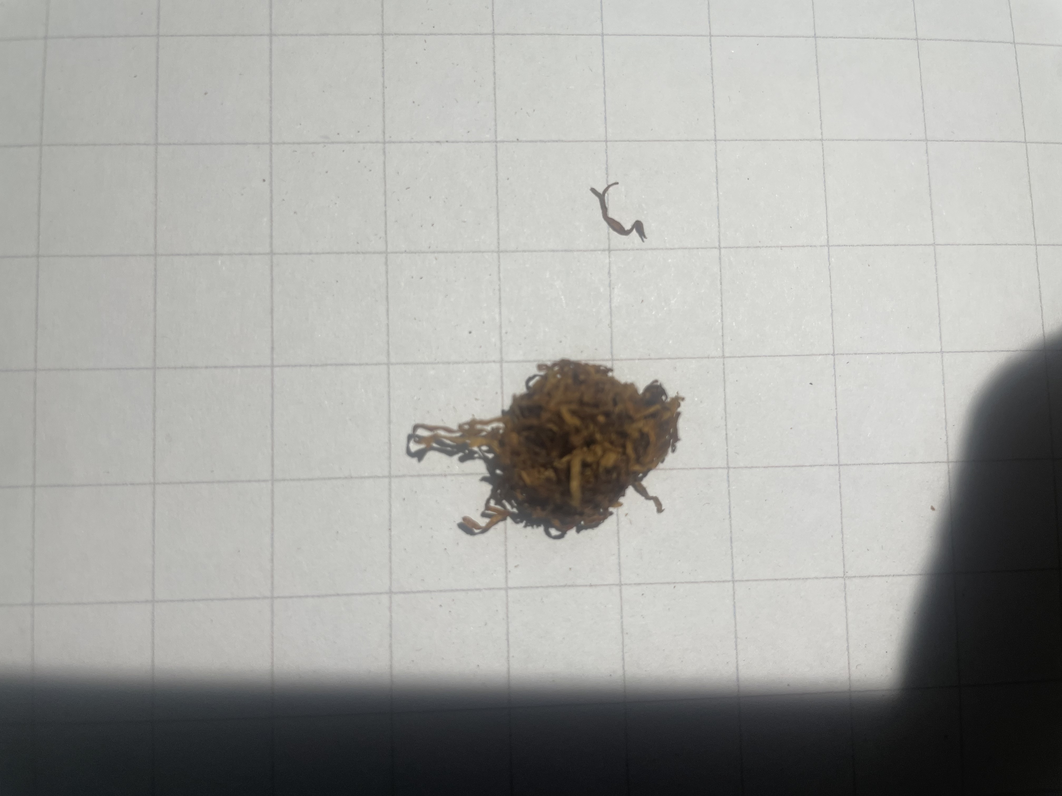 Natural tobacco cluster on a 10mm grid