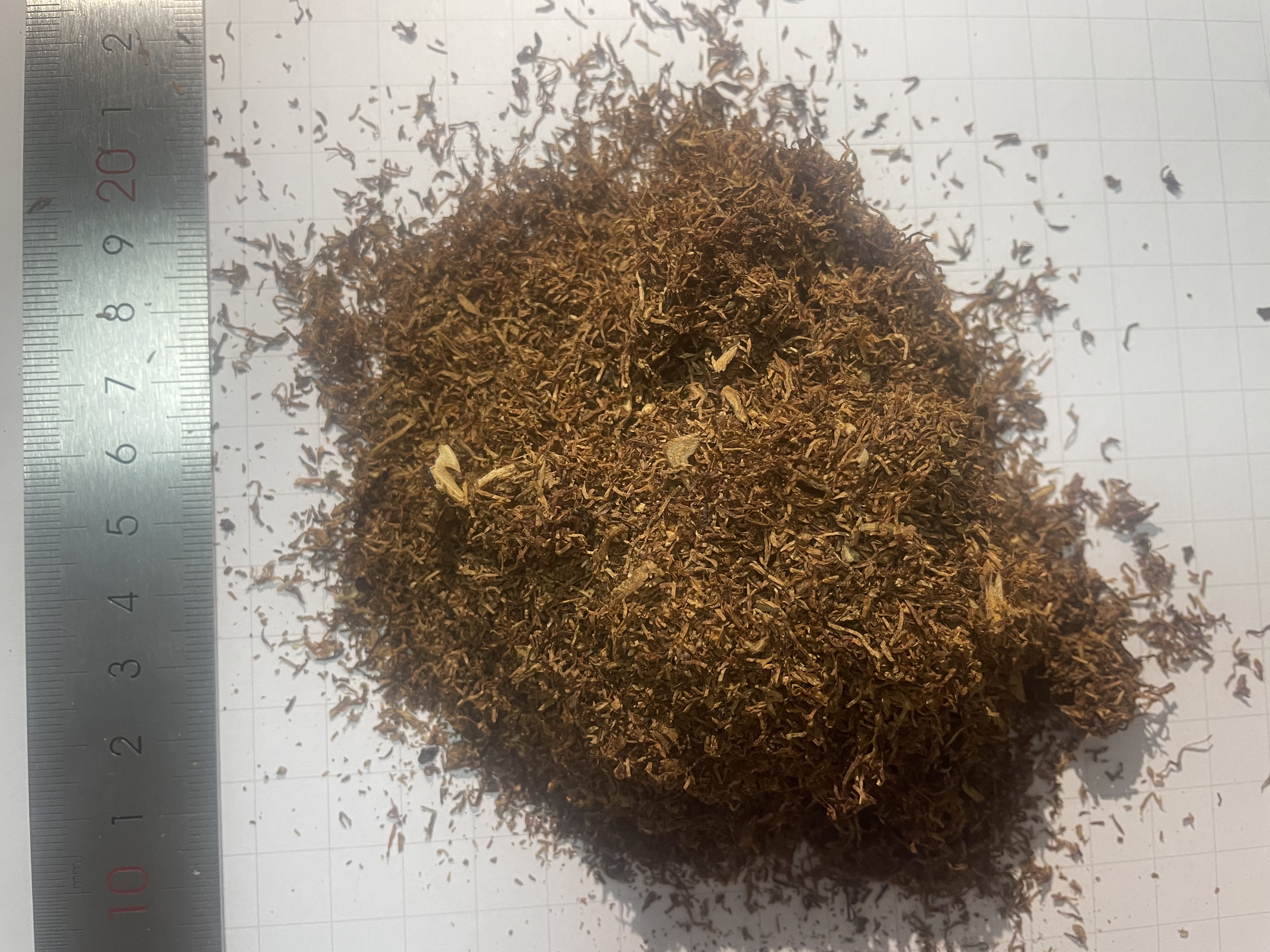 Tobacco sample overview with a ruler and grid